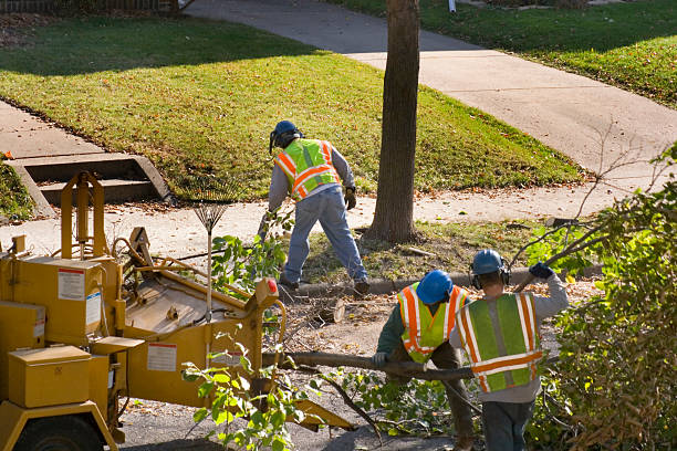 Leaf Removal in Grand Rapids, MN